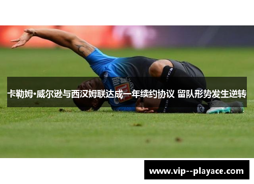 卡勒姆·威尔逊与西汉姆联达成一年续约协议 留队形势发生逆转 卡勒姆·威尔逊与西汉姆联达成一年续约协议 留队形势发生逆转